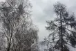 Uwaga! Synoptycy ostrzegają przed burzami z gradem