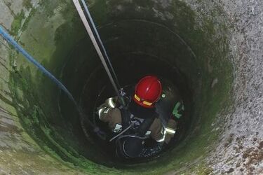 Do studni wpadł źrebak. Nie przeżył