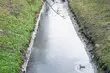Przed nami kolejny niestabilny pogodowo dzień