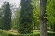 Półmetek miesiąca przyniesie nieco ochłodzenia. Jaka czeka nas pogoda w weekend?