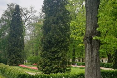 Półmetek miesiąca przyniesie nieco ochłodzenia. Jaka czeka nas pogoda w weekend?
