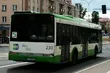 Zawieszenie kursów linii 113 do Dobrzyniewa