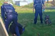 Pijany 18-latek bez prawa jazdy ukrywał się przed policją w krzakach. Wytropił go Muflon