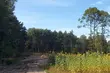 Nieruchomości od skarbówki. Co można wylicytować?
