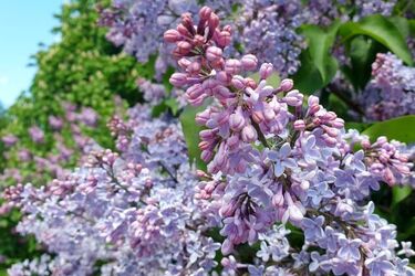 Pogodny czwartek. Będzie ciepło i sucho