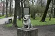 Do Białegostoku nadchodzi deszczowy front atmosferyczny