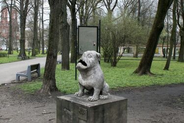 Do Białegostoku nadchodzi deszczowy front atmosferyczny