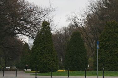 Deszczowo i zimno. Pogoda w weekend nie dopisze