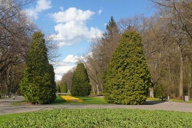 Początek tygodnia pełen słońca, ale może też popadać