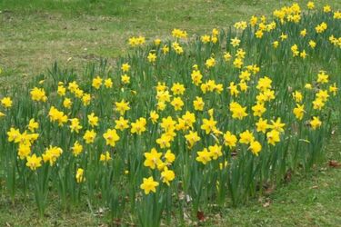 Suchy i ciepły wtorek. Parasole można zostawić w domu