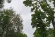 Ostatni weekend maja. Będzie szaro i deszczowo