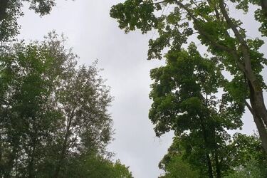 Ostatni weekend maja. Będzie szaro i deszczowo