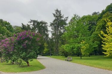 Czy pogoda na koniec maja nas zaskoczy?