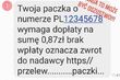 Robisz zakupy przez internet? Uważaj na te sms-y