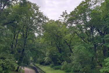 Drugi dzień czerwca nieco bardziej pogodniejszy