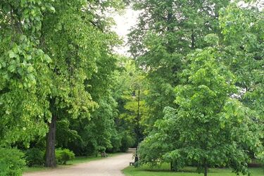 Wtorek wciąż ciepły, ale mogą wystąpić przelotne burze
