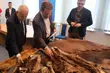 Naukowcy z Białowieży dostali od KAS cenne eksponaty zarekwirowane kłusownikom
