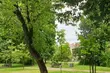 Półmetek miesiąca. Jakiej pogody możemy się spodziewać?