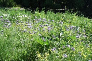 Jaką pogodę przyniesie początek tygodnia?