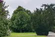 To najdłuższy dzień w roku. Rozpoczyna się astronomiczne lato