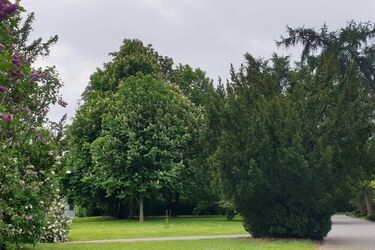 To najdłuższy dzień w roku. Rozpoczyna się astronomiczne lato