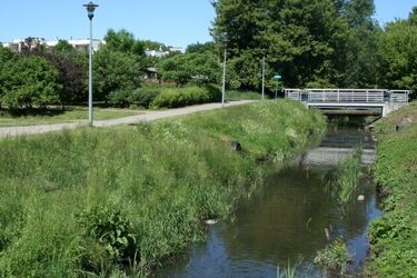 Pierwszy dzień lata bez opadów