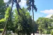 Pogoda w Białymstoku dopisze. Będzie ciepło i słonecznie