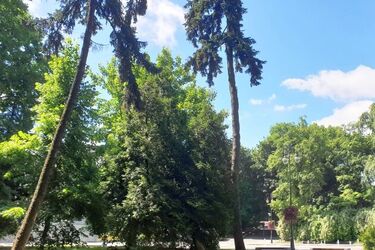 Pogoda w Białymstoku dopisze. Będzie ciepło i słonecznie