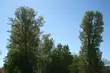Ostatni piątek czerwca - będzie bezchmurnie i gorąco