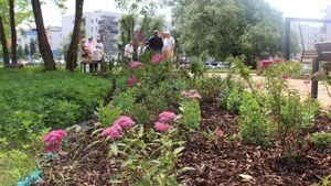 Powstał nowy park kieszonkowy i pierwszy w Białymstoku ogród deszczowy