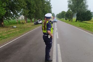 Dwa groźne wypadki. Samochód uderzył w drzewo, a motocyklista w łosia