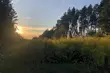 Poniedziałek zapowiada się ciepło i słonecznie