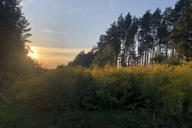 Poniedziałek zapowiada się ciepło i słonecznie