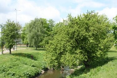 Przed nami kolejny pogodny dzień