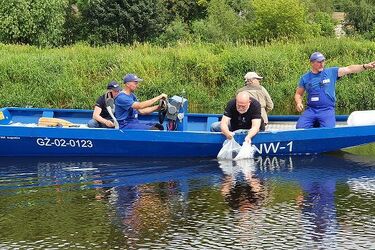 100 tys. sumów trafiło do rzeki Narew