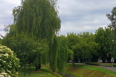 Czy pogoda w weekend dopisze?