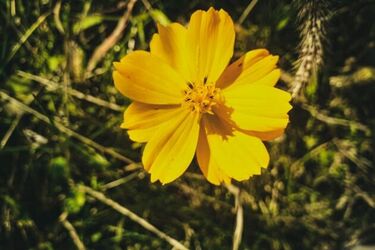 W środę pogoda ma się poprawić