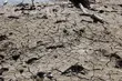 Hydrolodzy ostrzegają: Na zachodzie Podlaskiego susza, na wschodzie wezbrane rzeki