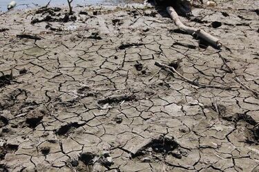 Hydrolodzy ostrzegają: Na zachodzie Podlaskiego susza, na wschodzie wezbrane rzeki