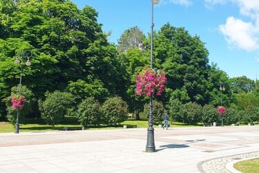 Słoneczna środa. Ile stopni wskażą termometry?