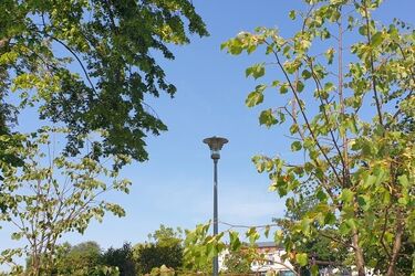 Do Białegostoku nadchodzi fala upałów