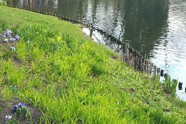 Za nami półmetek tygodnia. Ile będzie stopni?