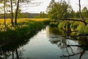 W rzece Świsłocz znaleziono zwłoki