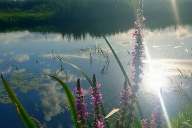 Czy w sierpniu czeka nas fala upałów? Prognoza długoterminowa dla Białegostoku