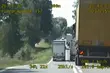 Dostał 6 tys. zł mandatu za wyprzedzanie [WIDEO]