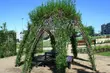 Kwiaty, zioła i motylarnia - w Białymstoku powstał Botaniczny Park Kieszonkowy [ZDJĘCIA]
