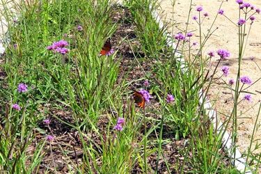 Przed nami gorący półmetek tygodnia