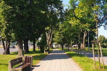 W Białymstoku coraz goręcej. Ile stopni wskażą termometry?