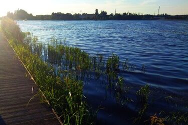 Czy woda w kąpieliskach jest czysta? Możesz to sprawdzić w internecie 