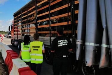 Wiózł nielegalne odpady. Przewoźnikowi grozi wysoka kara